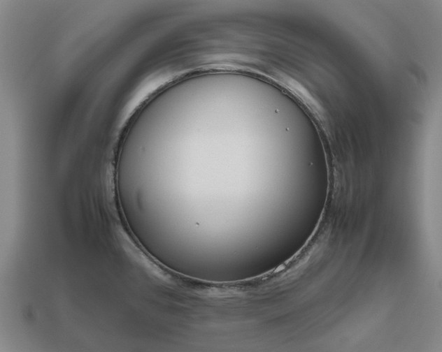 X0000112971384200909101644