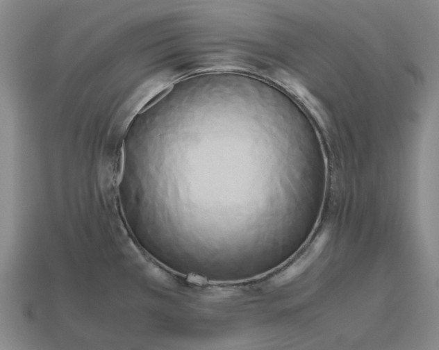 X0000112971385200909101644