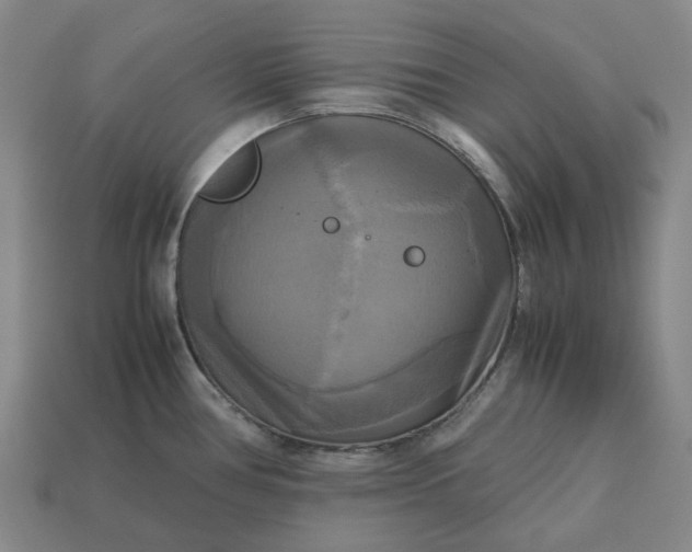 X0000112971386200909101644