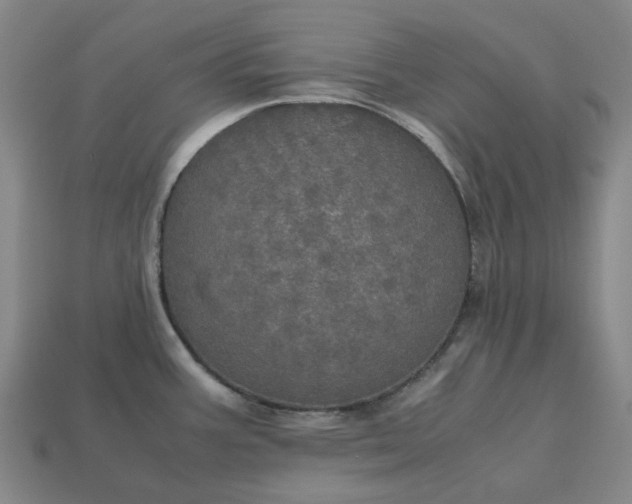 X0000112971387200909101644