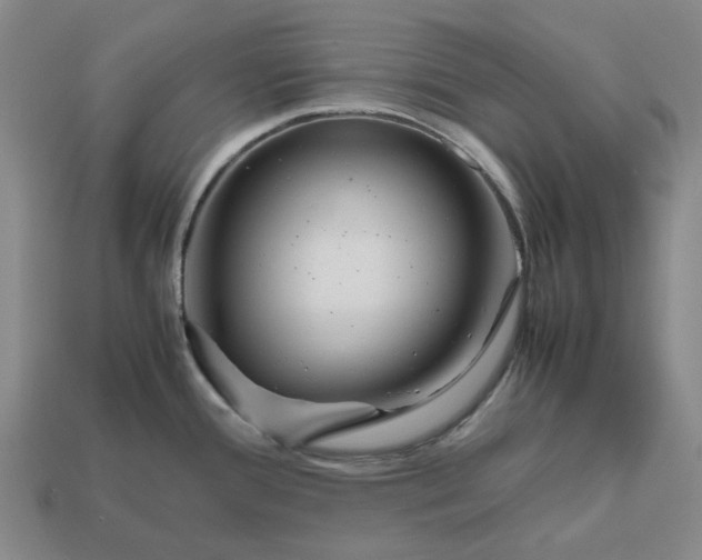 X0000112971388200909101644