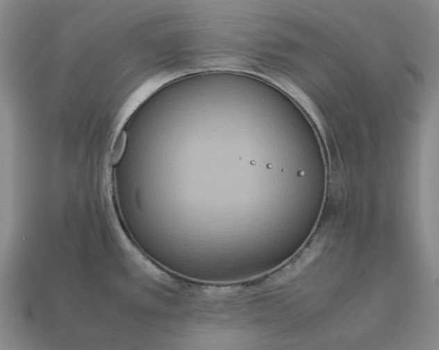 X0000112971389200909101644