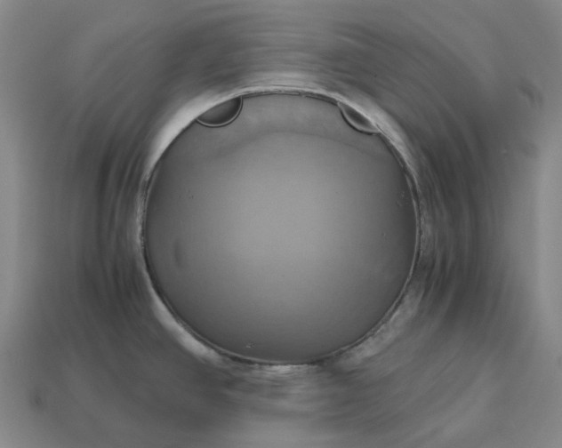 X0000112971390200909101644