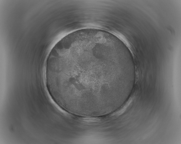 X0000112971391200909101644