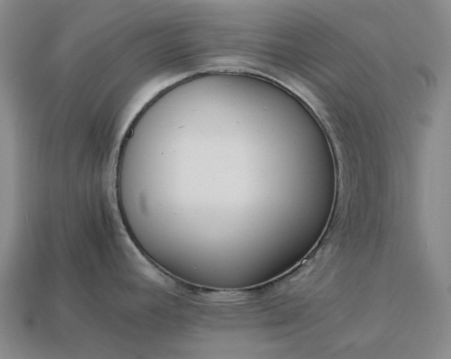 X0000112971392200909101644