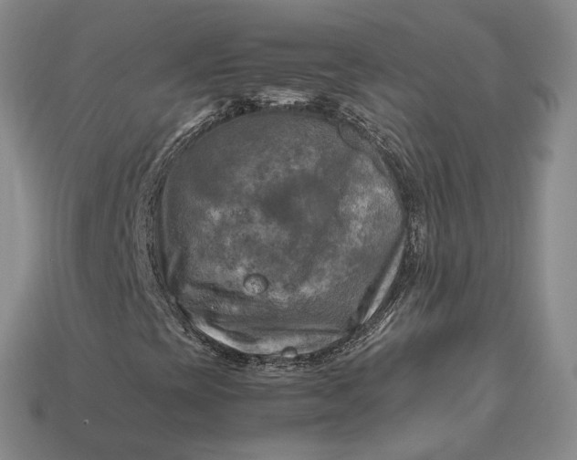 X0000112971393200909101643