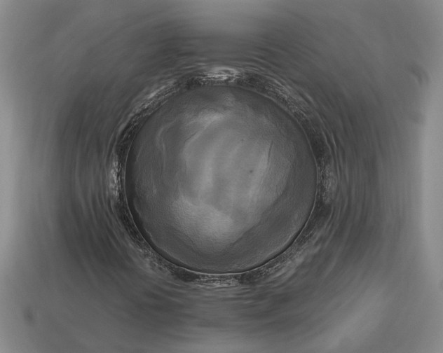 X0000112971394200909101643