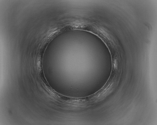 X0000112971396200909101643