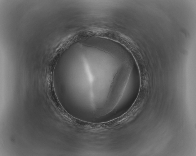 X0000112971397200909101643