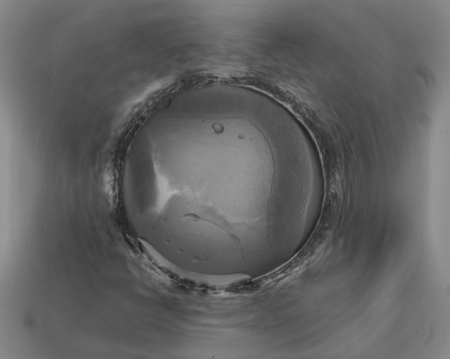 X0000112971398200909101643