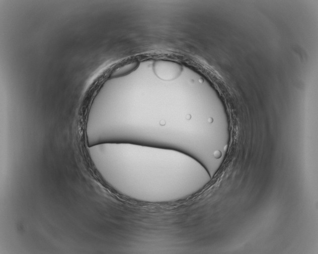 X0000112971400200909101643