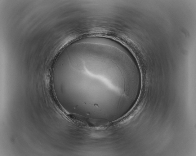 X0000112971401200909101643