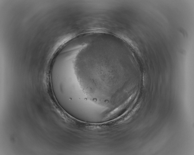 X0000112971405200909101644