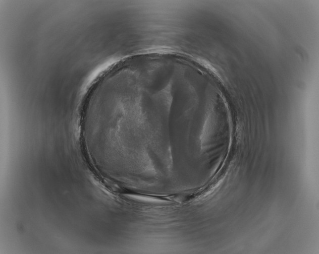 X0000112971406200909101644