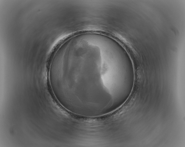 X0000112971408200909101644