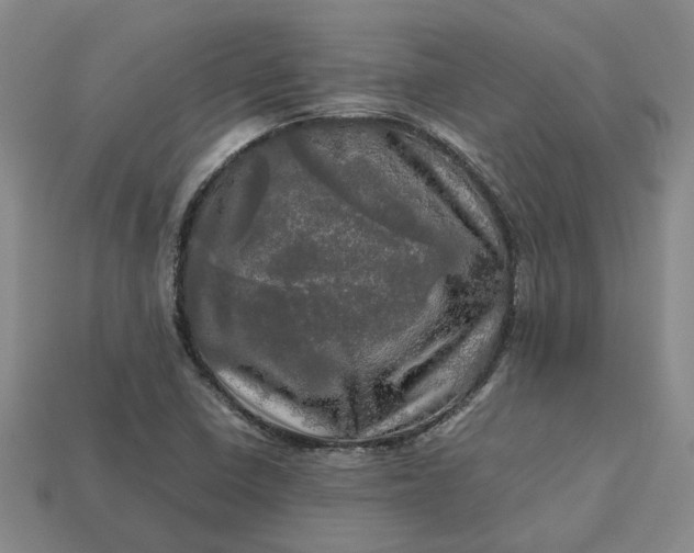 X0000112971410200909101644