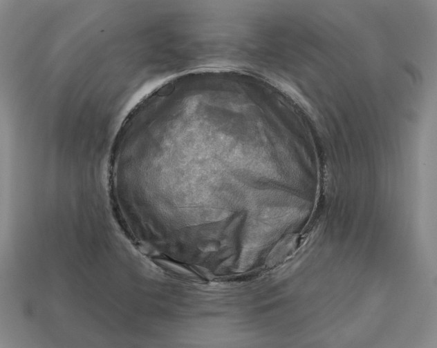 X0000112971412200909101644