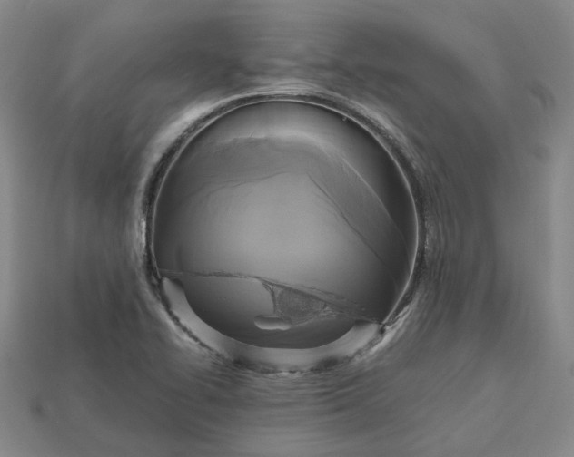 X0000112971414200909101644