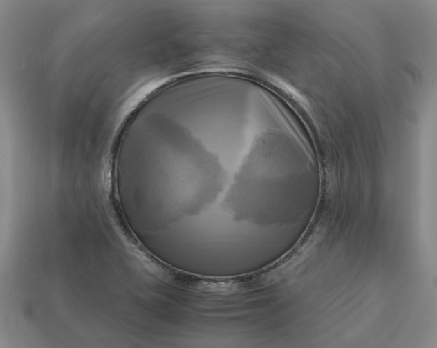 X0000112971415200909101644