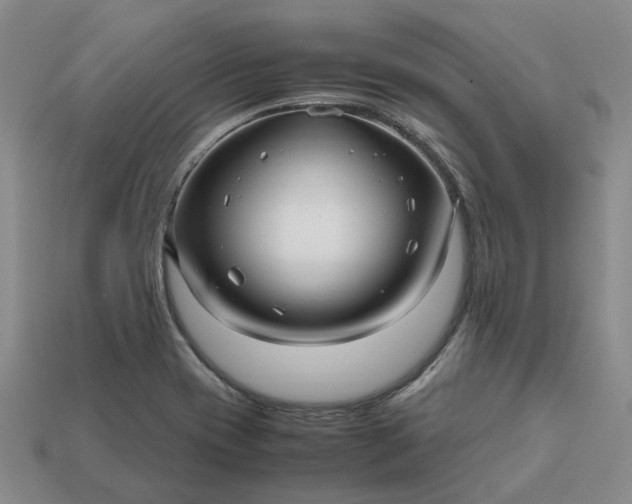 X0000112971417200909101644