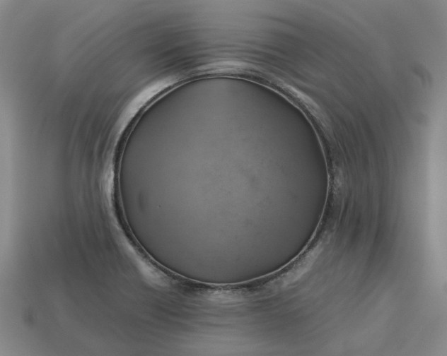 X0000112971418200909101644