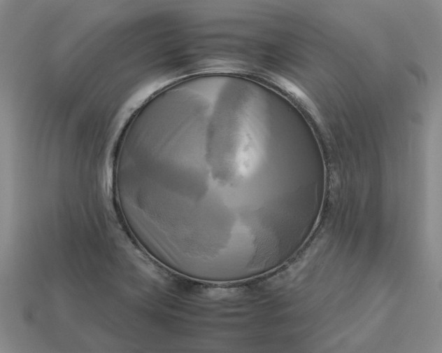 X0000112971419200909101644