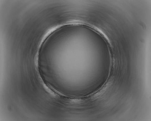 X0000112971421200909101644