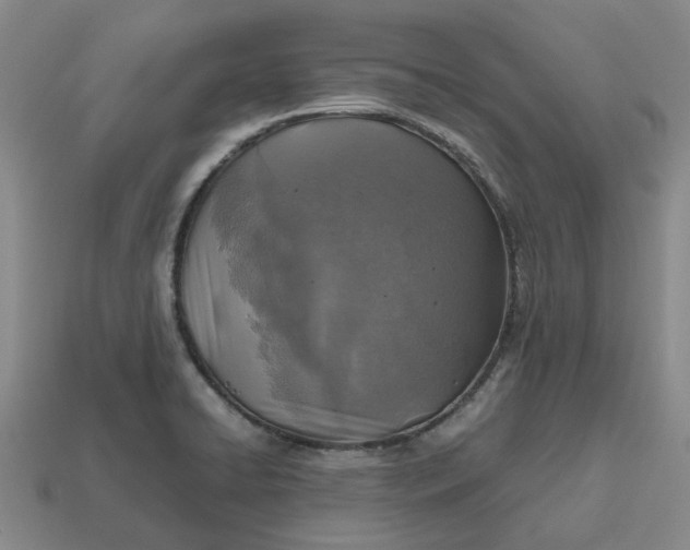 X0000112971422200909101644