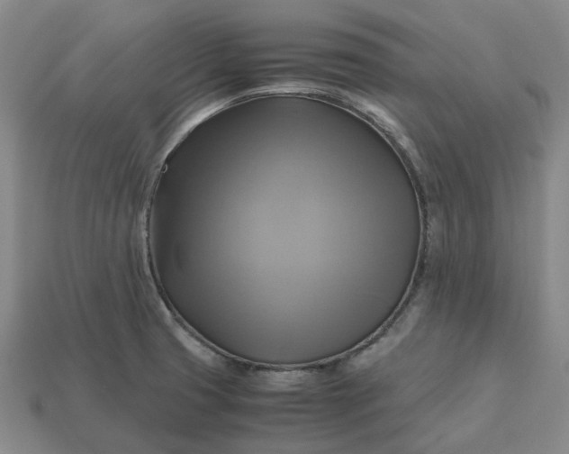 X0000112971425200909101644