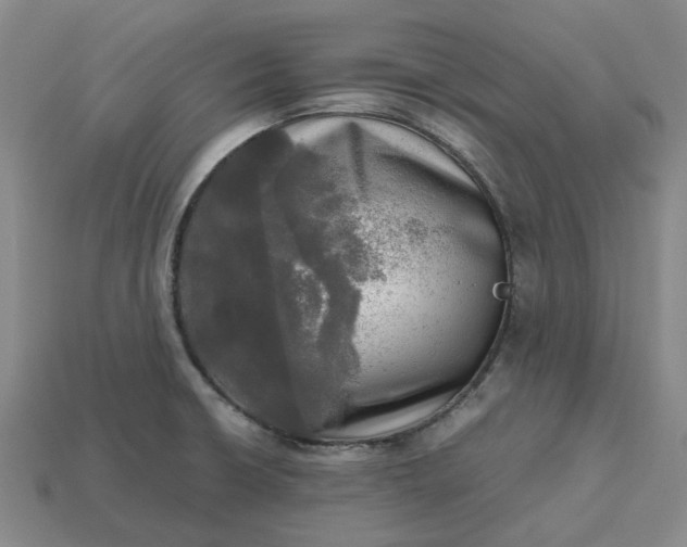 X0000112971426200909101644