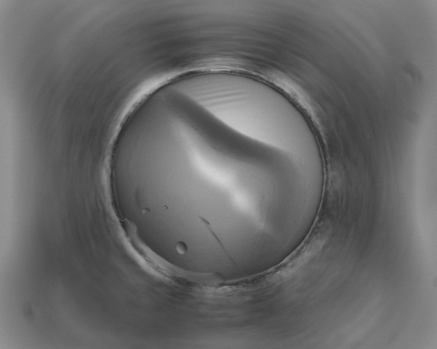 X0000112971429200909101644