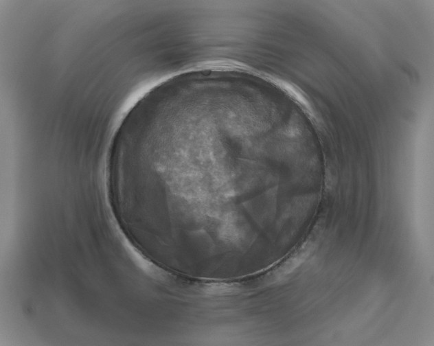 X0000112971430200909101644