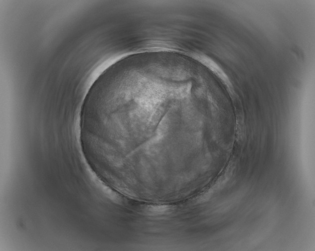 X0000112971431200909101644