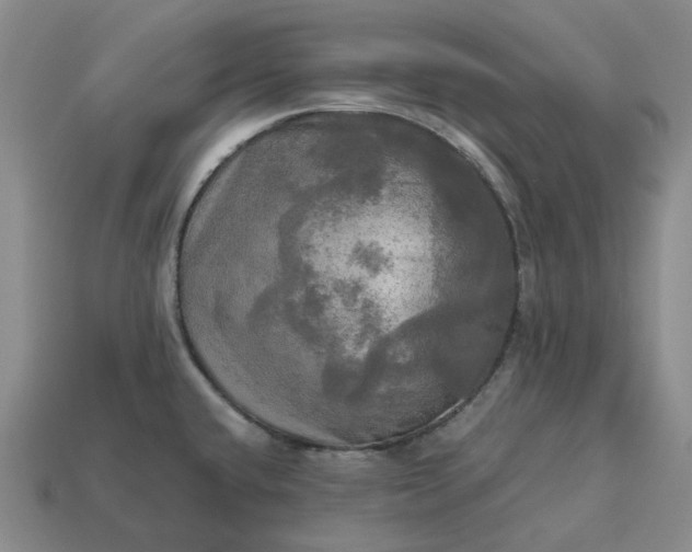 X0000112971432200909101644