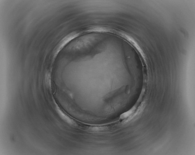 X0000112971433200909101644