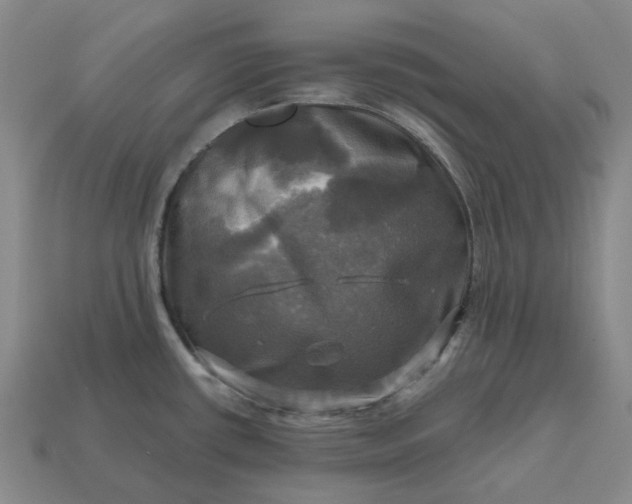 X0000112971434200909101644