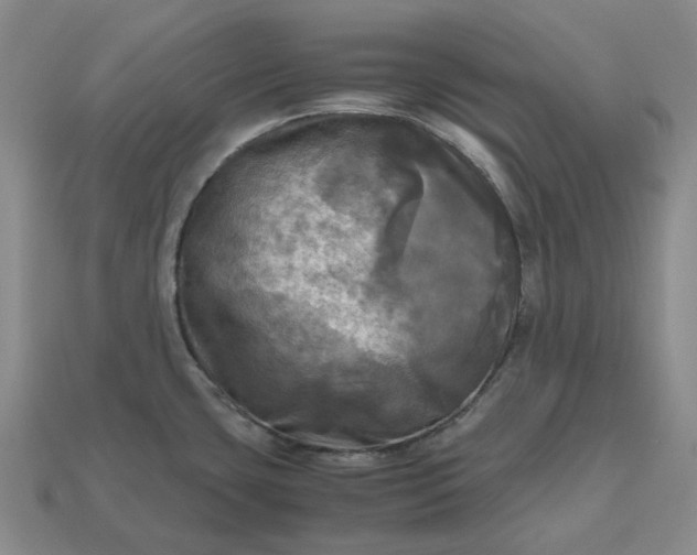 X0000112971435200909101644