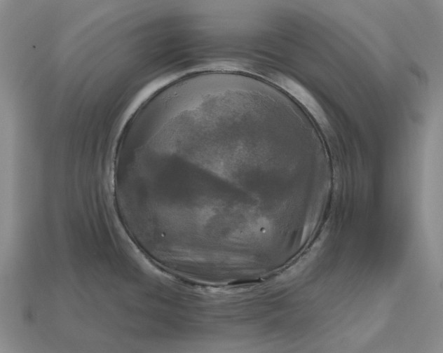 X0000112971436200909101644