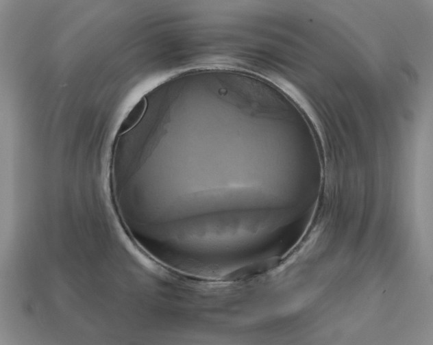 X0000112971437200909101644