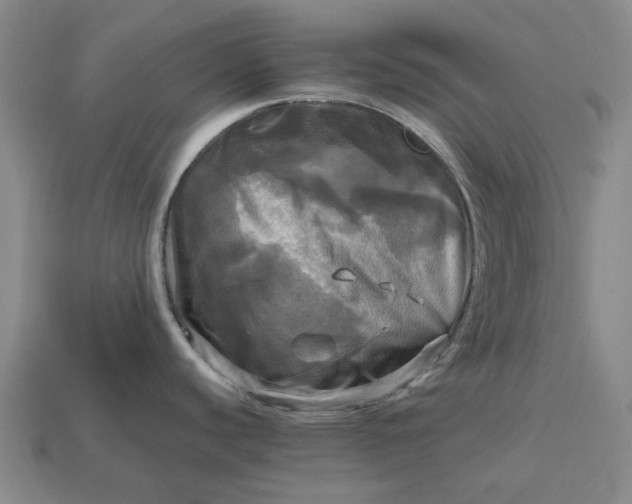 X0000112971440200909101644