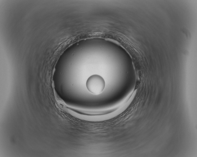 X0000112971441200909101643