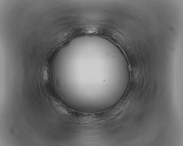 X0000112971442200909101643