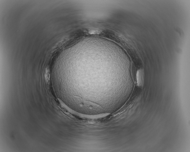 X0000112971443200909101643