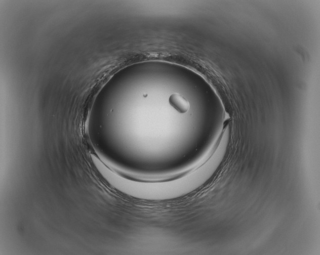 X0000112971444200909101643