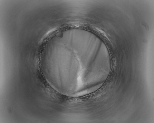 X0000112971446200909101643