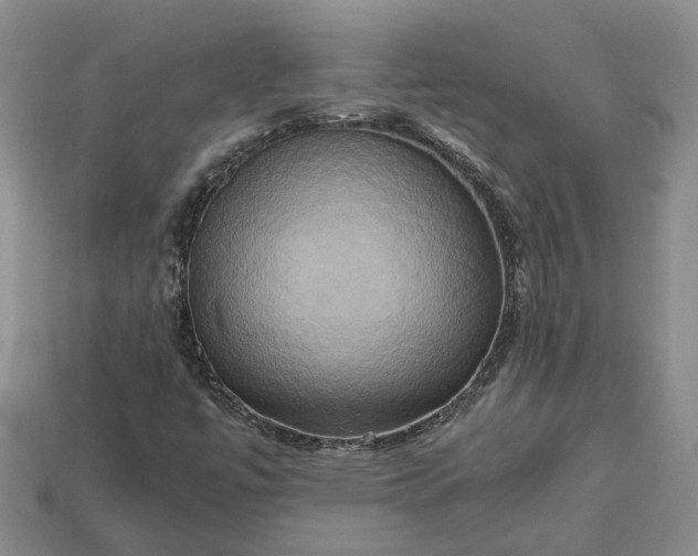 X0000112971447200909101643