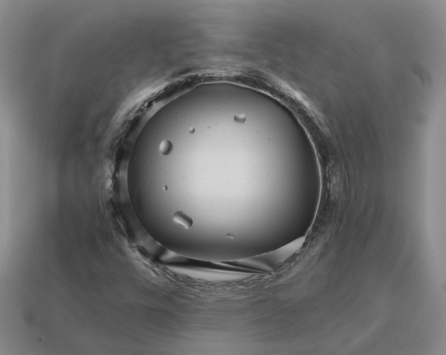 X0000112971448200909101643