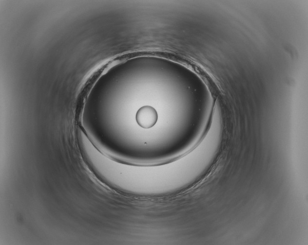 X0000112971452200909101643