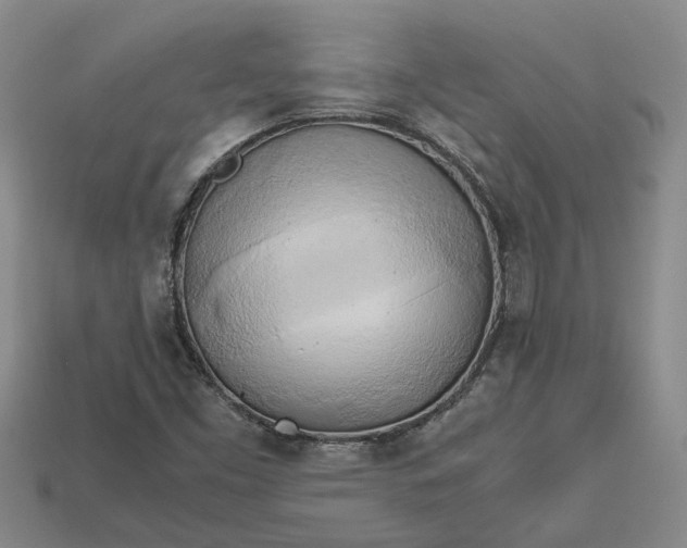 X0000112971453200909101643