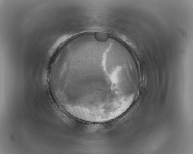 X0000112971454200909101643